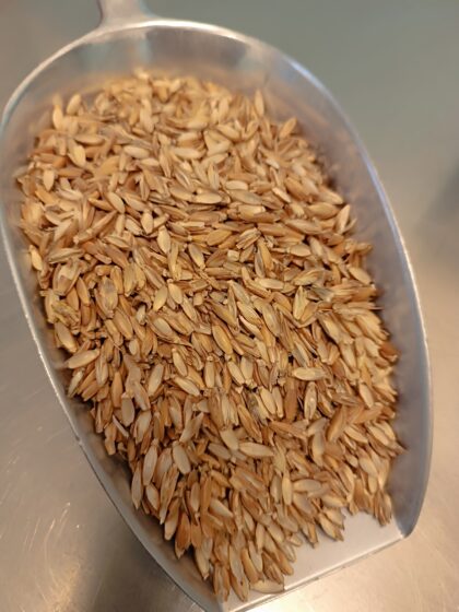 Dinkelspelzen 1kg